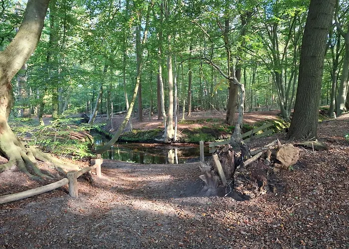 Vakantiehuisje B&B De Kleine Voskuil